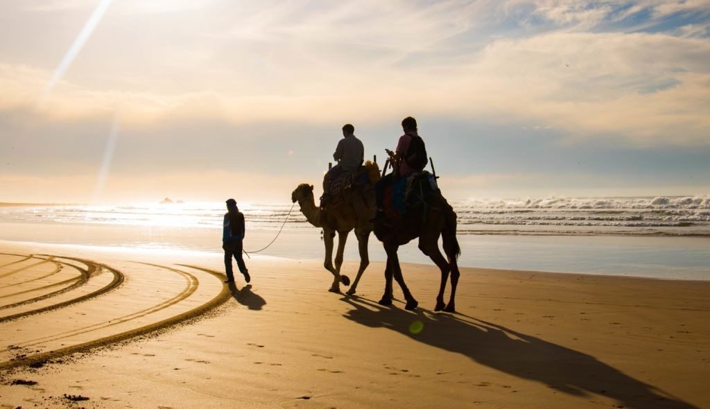 balade en chameauxa Essaouira Maroc