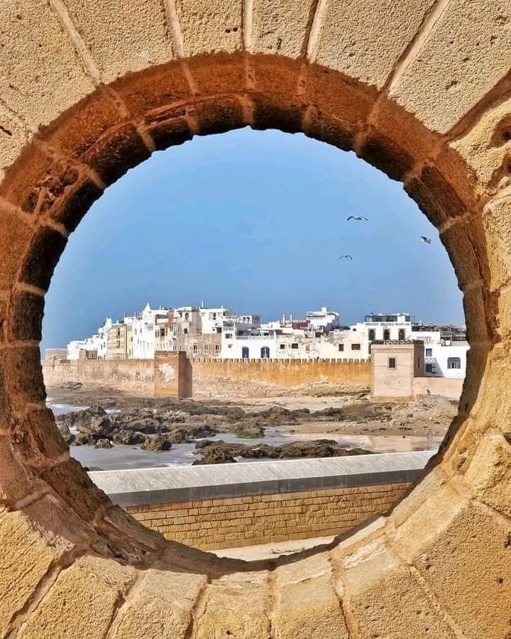 Essaouira Maroc: Plages envoûtantes, médina historique. Détendez-vous dans cette charmante cité côtière.