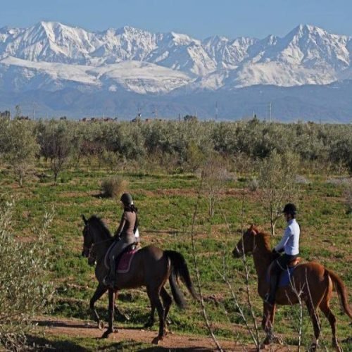 equitation-marrakech-maroc.jpg